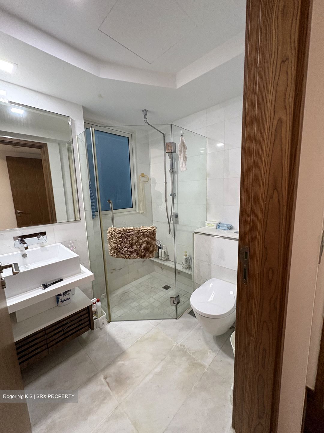 Suites At Orchard (D9), Apartment #536146471